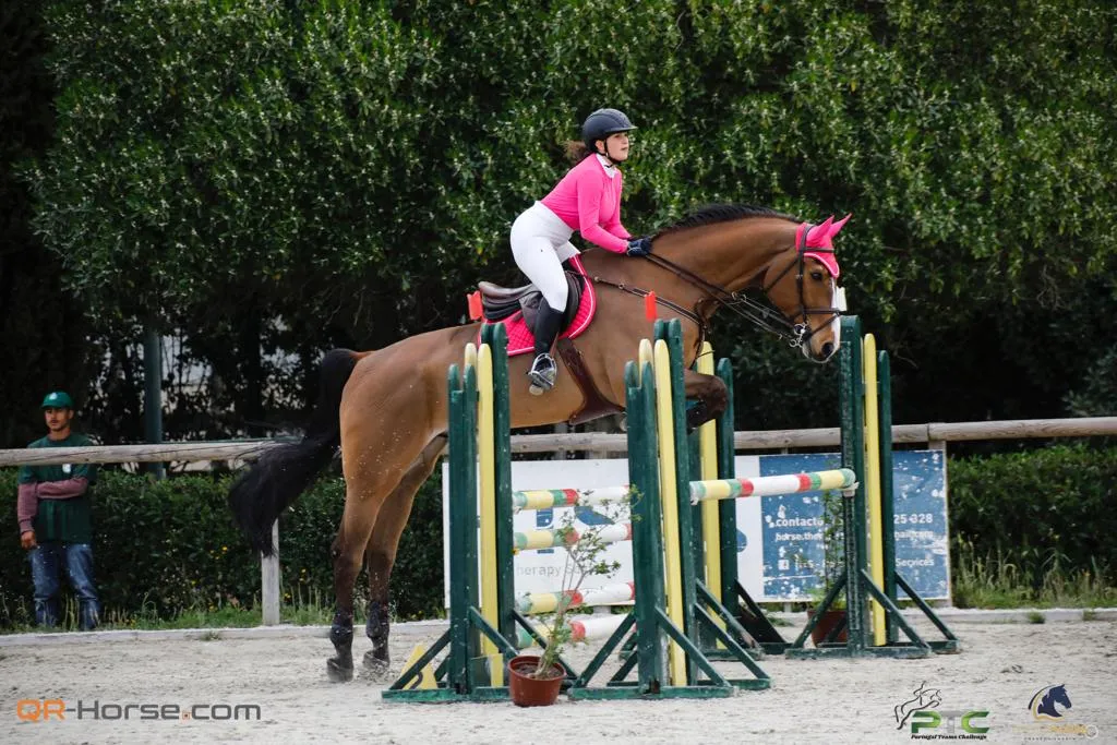 Treino de competição equestre