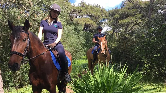 Passeios a Cavalo na Quinta da Marinha — Guia Completo