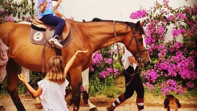 The Best Stables in Lisbon — Horse Boarding & Riding Near the Capital