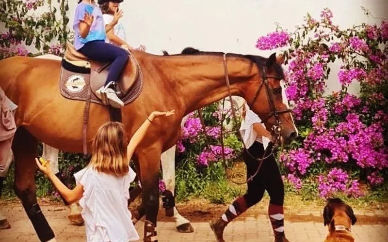 Horseback Riding Near Me — Find the Best School in the Lisbon Area