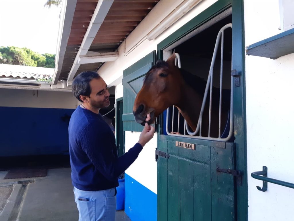 aula de hipismo