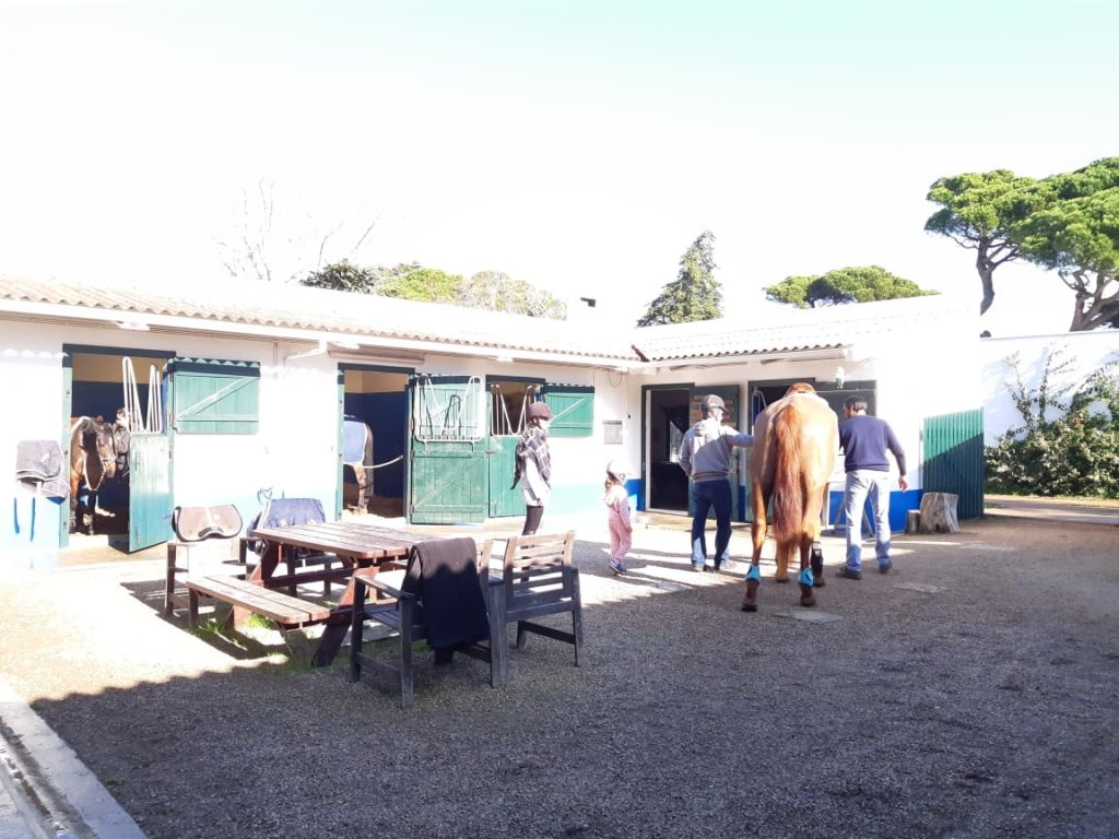 escola de equitação de Miguel Alves