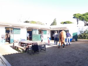 escola de equitação de Miguel Alves