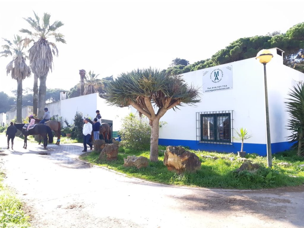 aula de hipismo