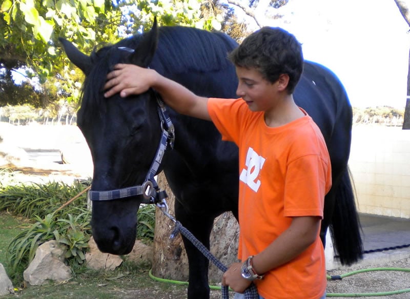 Um menino de camisa laranja dá um tapinha gentil na cabeça de um cavalo preto. O menino segura a corda do cavalo com a outra mão. Eles estão ao ar livre com árvores e plantas ao fundo. O cavalo parece calmo e relaxado.