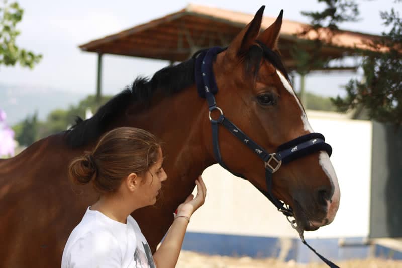 Uma pessoa com cabelo preso para trás e camisa branca acaricia um cavalo marrom com uma marca branca no rosto. O cavalo está usando um cabresto azul e eles estão ao ar livre com árvores e um abrigo visível ao fundo.