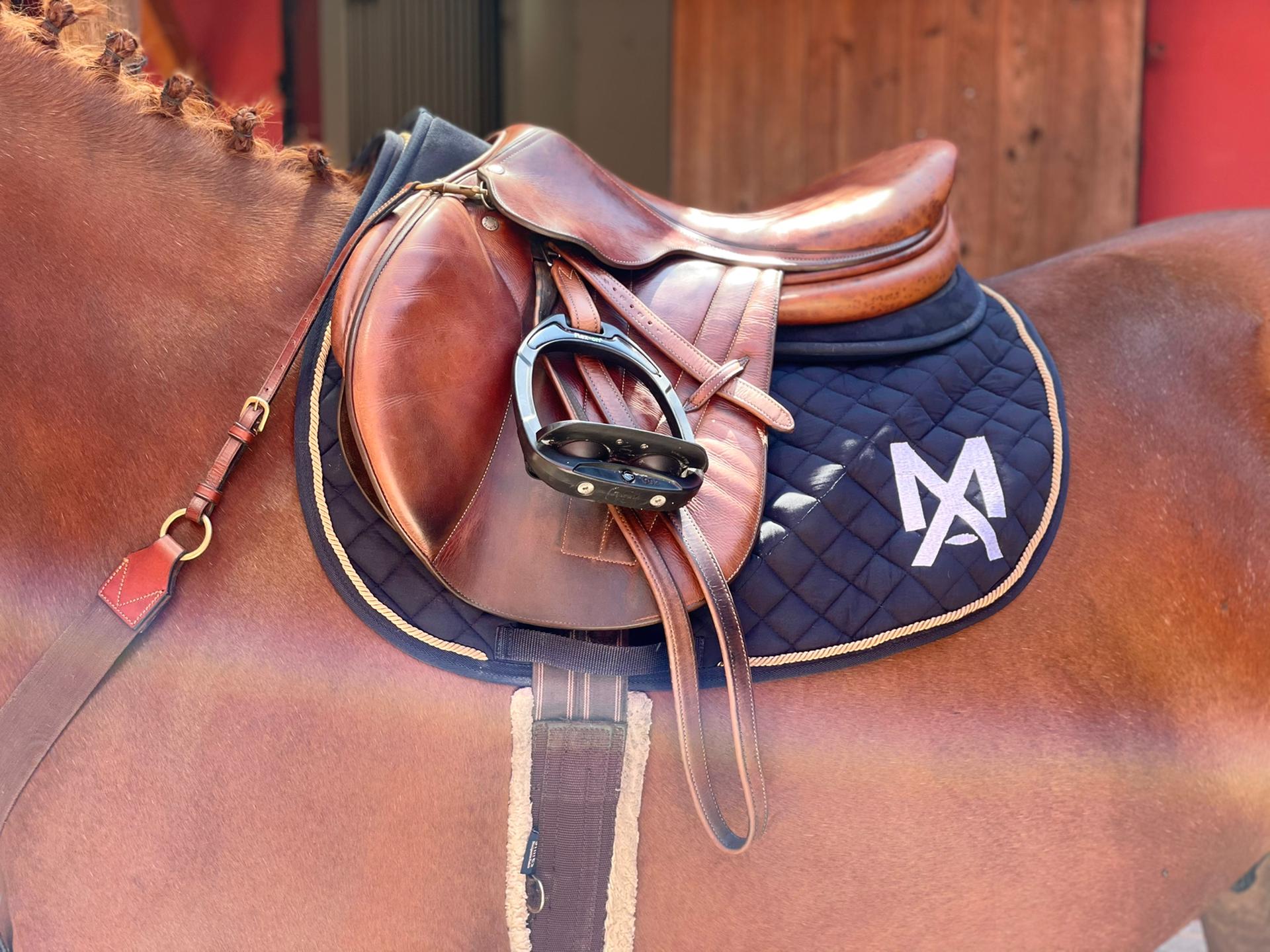 Coudelaria e Alojamento de Cavalos