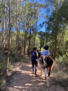 passeio de cavalo